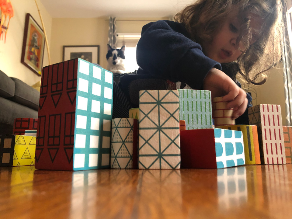 BUILD IT BLOCKS