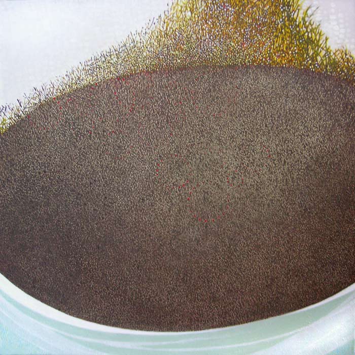 Untitled, 2010, 32 inches x 32 inches