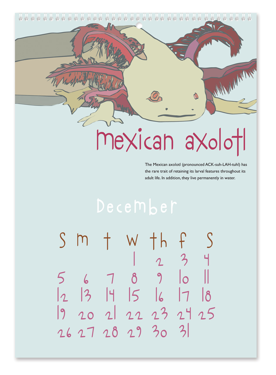 Crazy Creatures Calendar Crazy Creatures Calendar