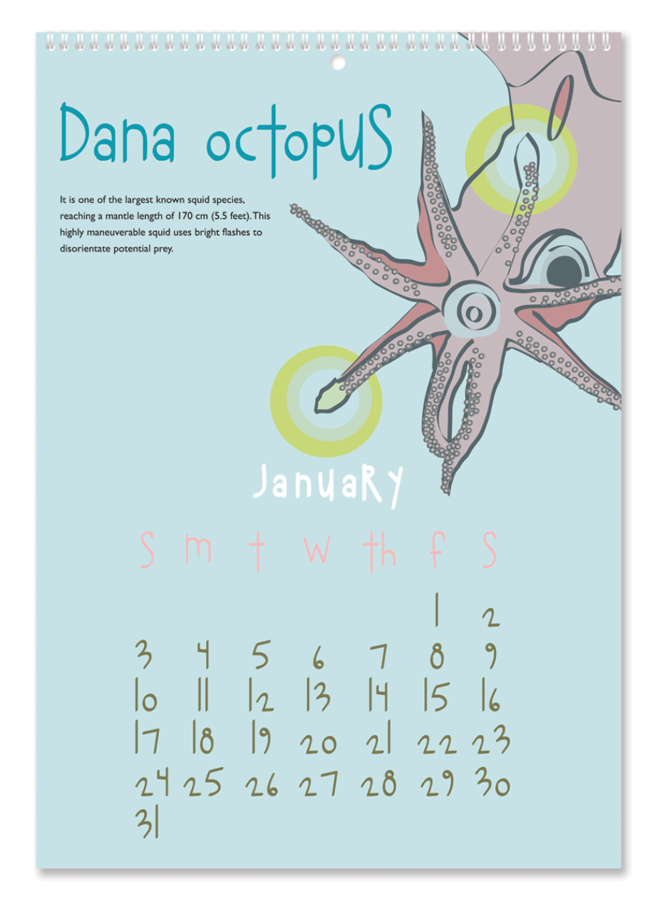 Crazy Creatures Calendar Crazy Creatures Calendar