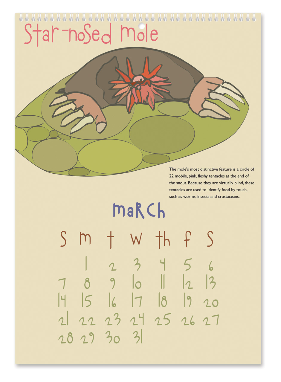 Crazy Creatures Calendar Crazy Creatures Calendar