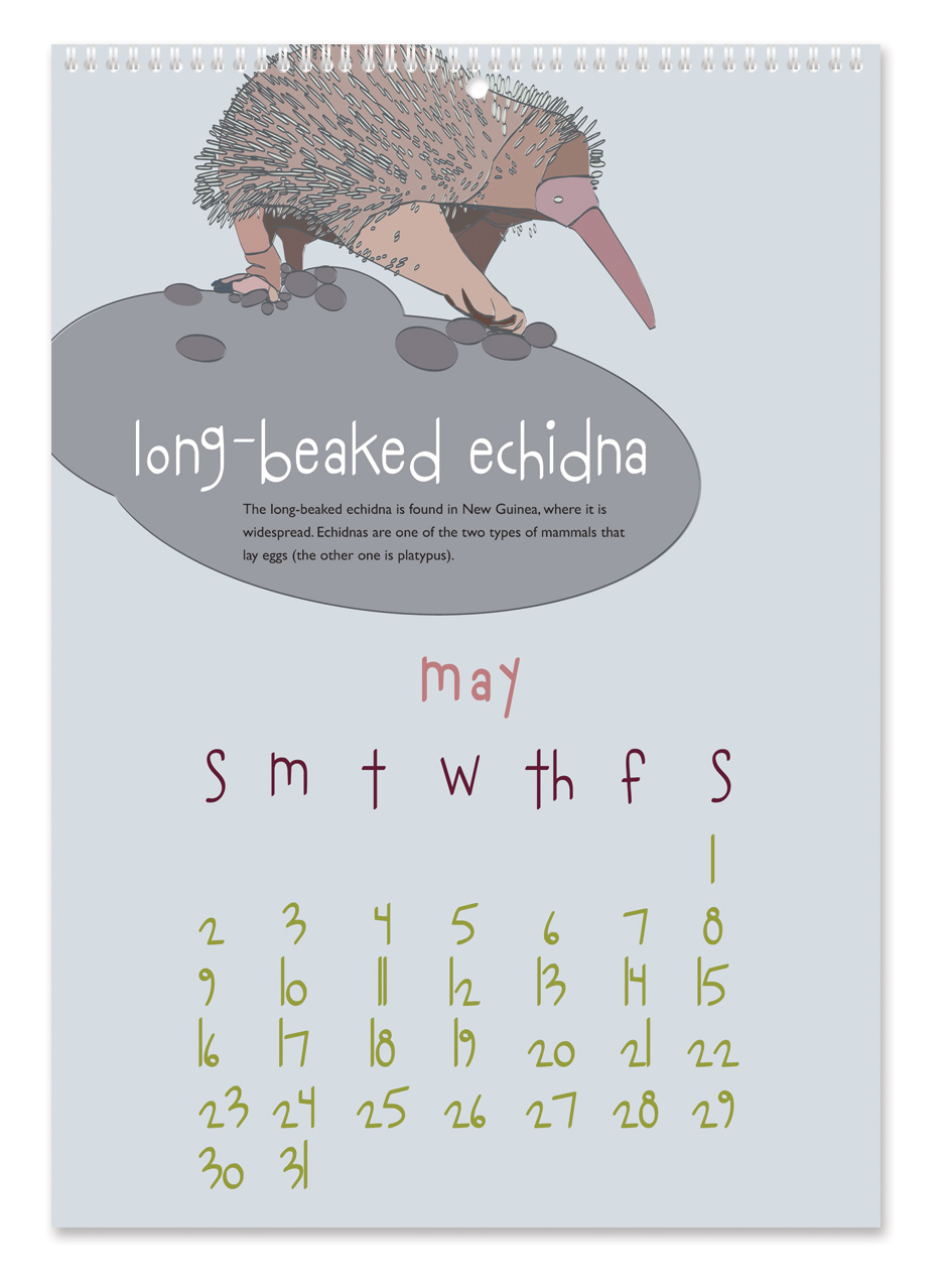Crazy Creatures Calendar Crazy Creatures Calendar