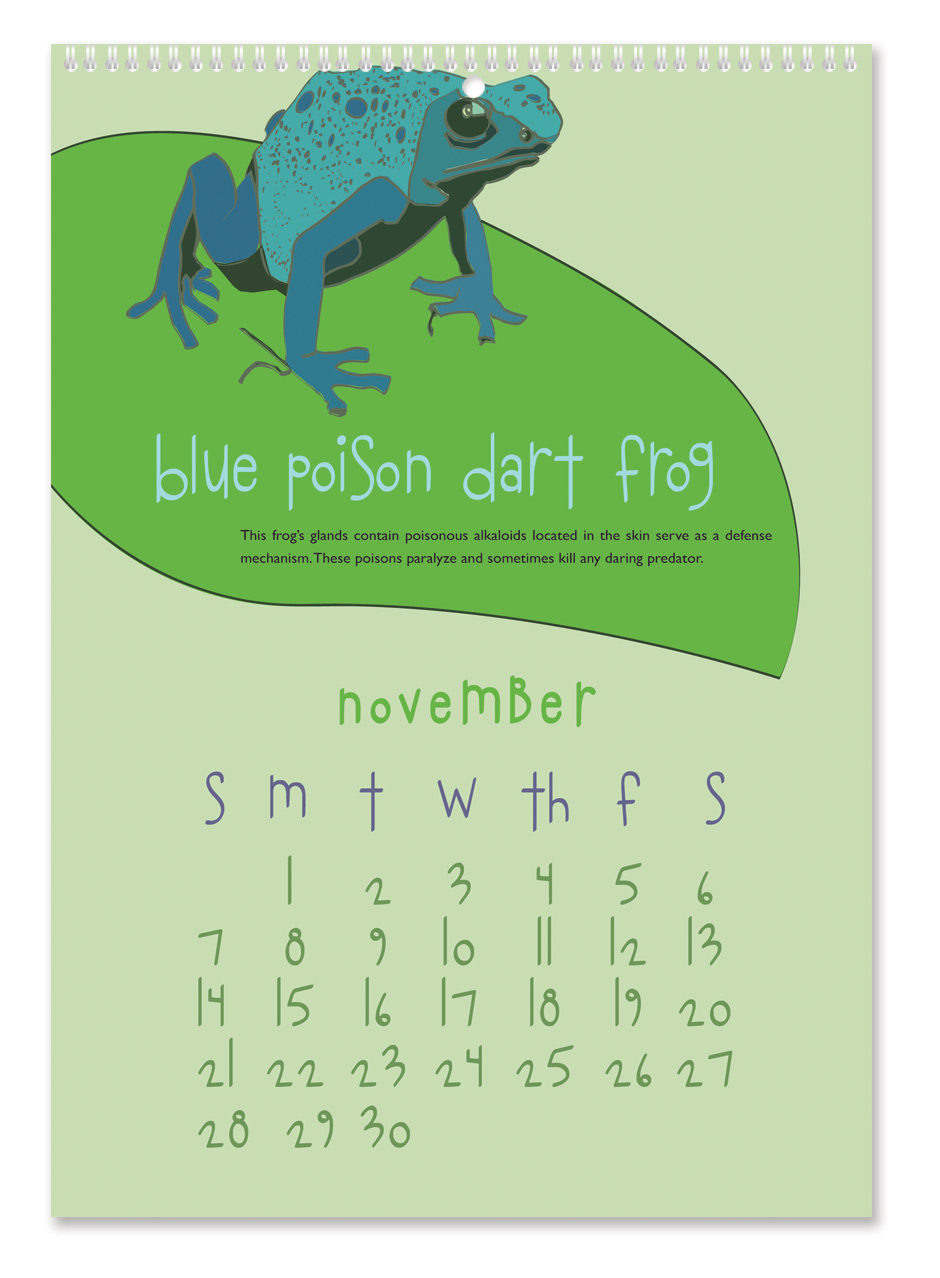 Crazy Creatures Calendar Crazy Creatures Calendar